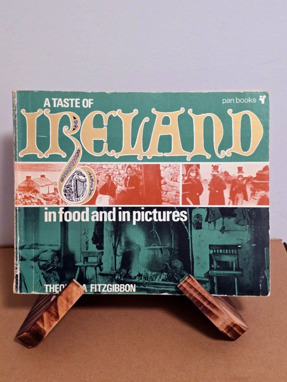 Vintage Irish Cookbook A Taste of Ireland 1970 Illustrated Recipes Photos